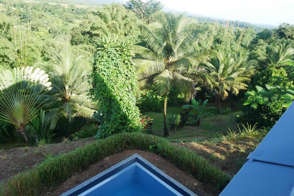 Villa Kumquat Avec Piscine Et Vue Sur Les Montagnes Пети-Бур Экстерьер фото